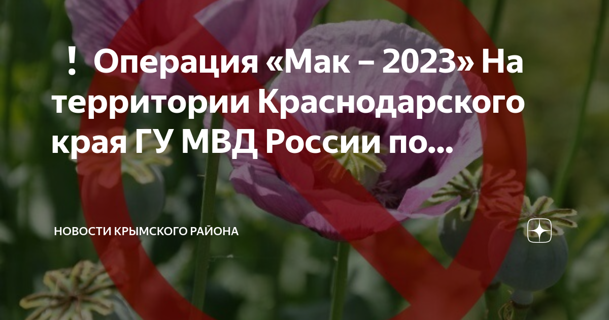 Мак 2023