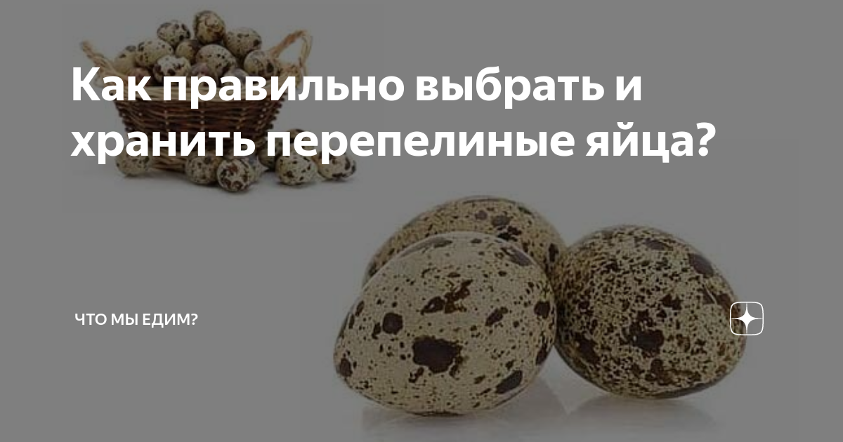 Срок хранения сырых перепелиных яиц. Хранение перепелиных яиц