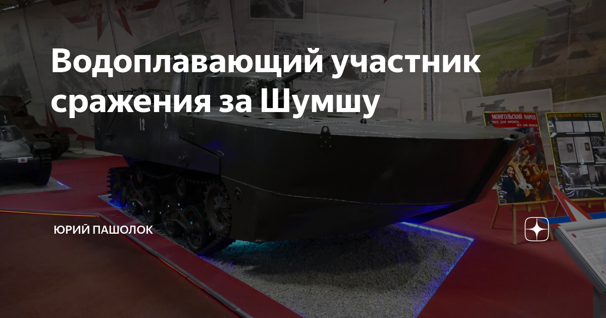 Водоплавающий участник сражения за Шумшу | Юрий Пашолок | Дзен