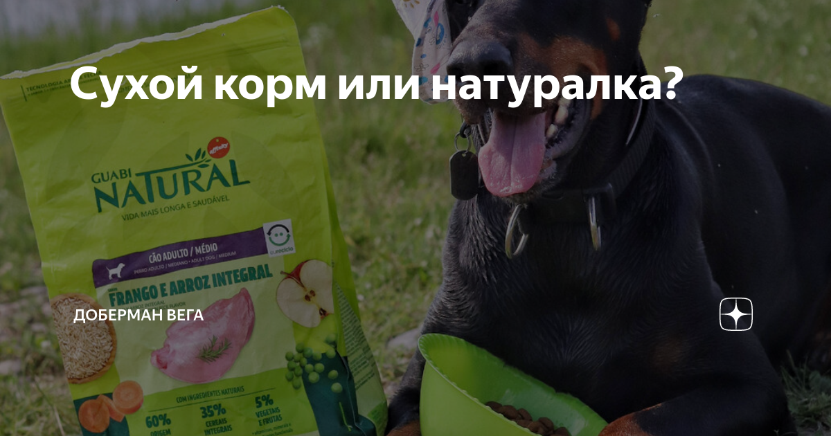 Сухой корм или натуралка? | Доберман Вега | Дзен