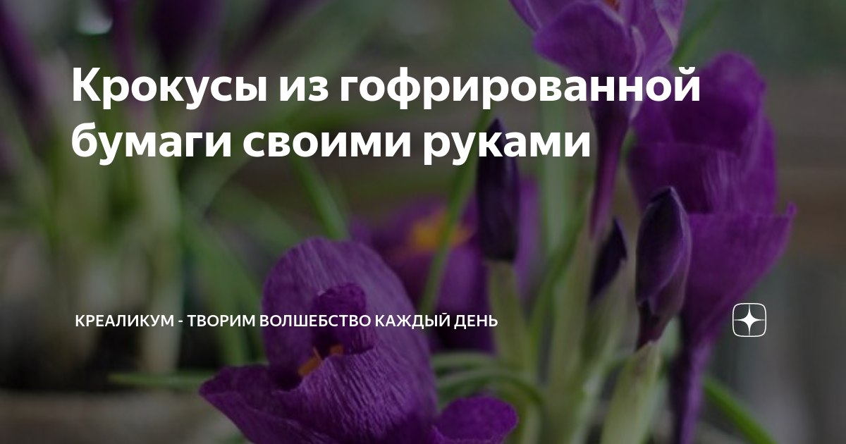 Крокусы своими руками из гофрированной бумаги | 🌺СДЕЛАЕМ ВМЕСТЕ | Дзен