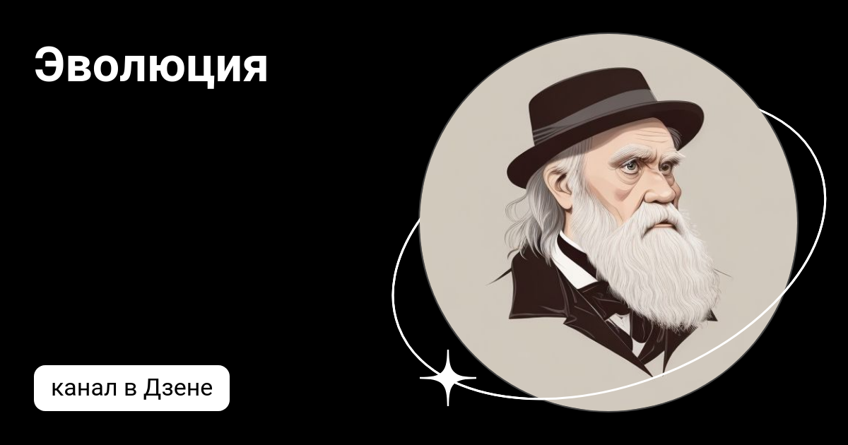 Эволюция | Дзен
