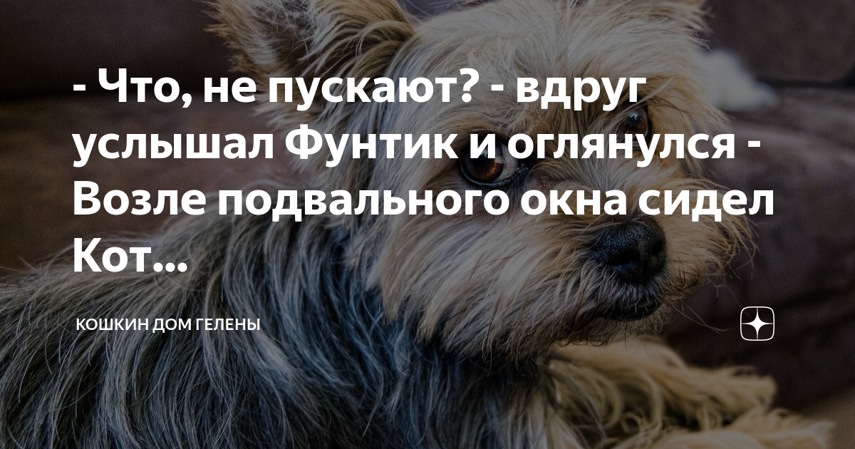 - Что, не пускают? - вдруг услышал Фунтик и оглянулся - Возле ...