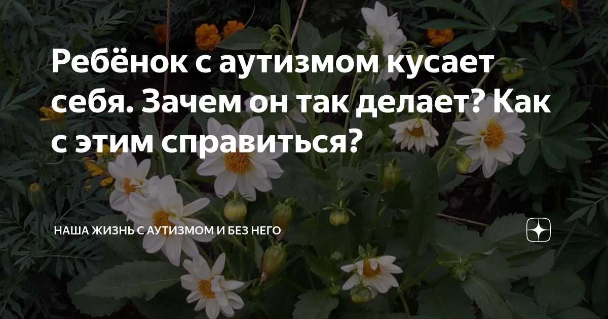 Ребёнок с аутизмом кусает себя. Зачем он так делает? Как с этим ...