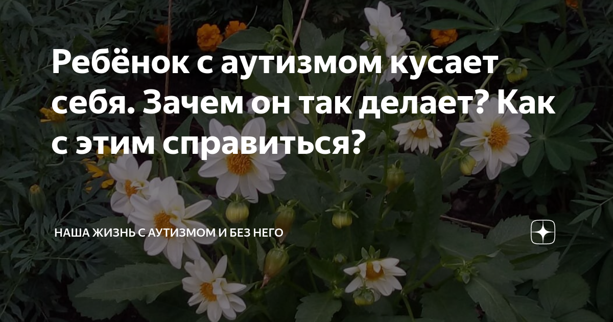 Что делать, если ребёнок кусается?