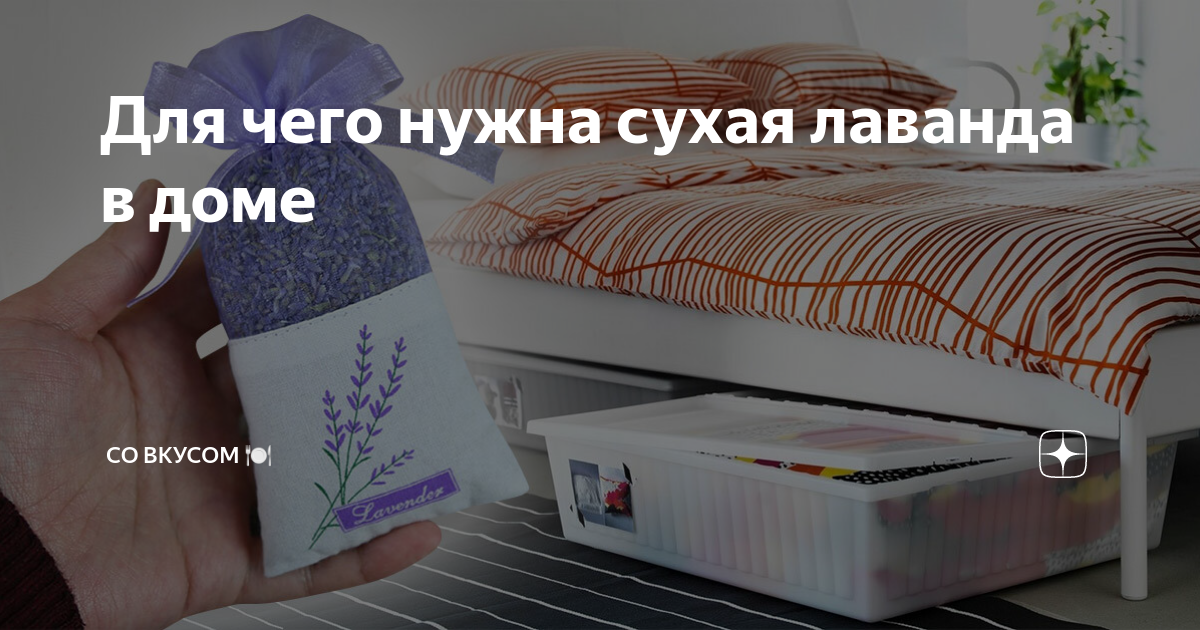 Для чего нужна сухая лаванда в доме | СО ВКУСОМ 🍽 | Дзен