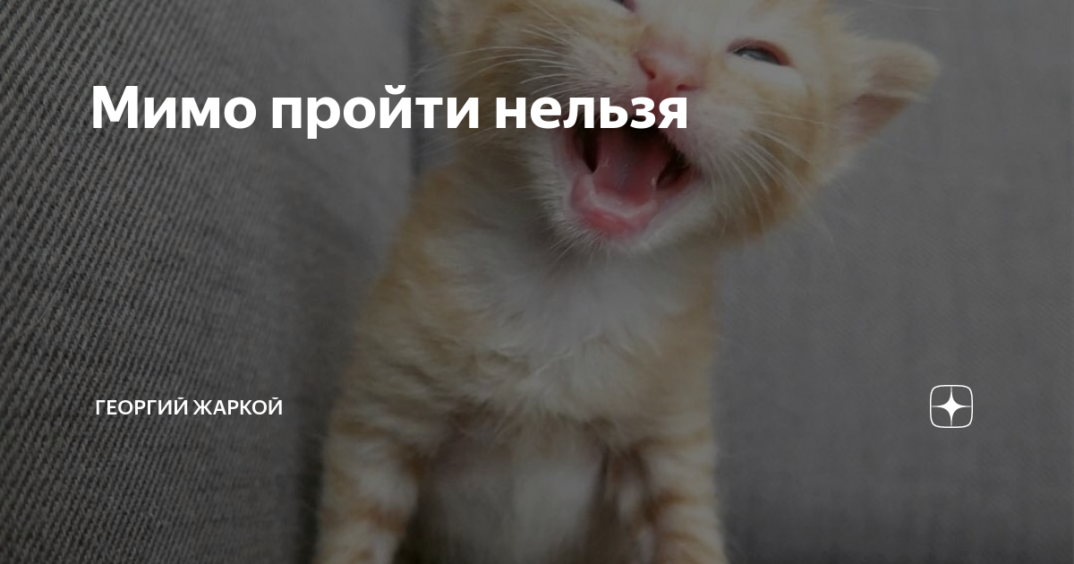 Мимо пройти нельзя | Георгий Жаркой | Дзен