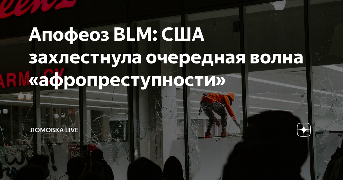 Движение blm в америке что это