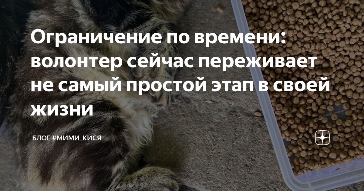 условия госконтракта. минимальный срок добровольца. причины волонтерства. сроки контракта. сроки заключения контракта военнослужащим.