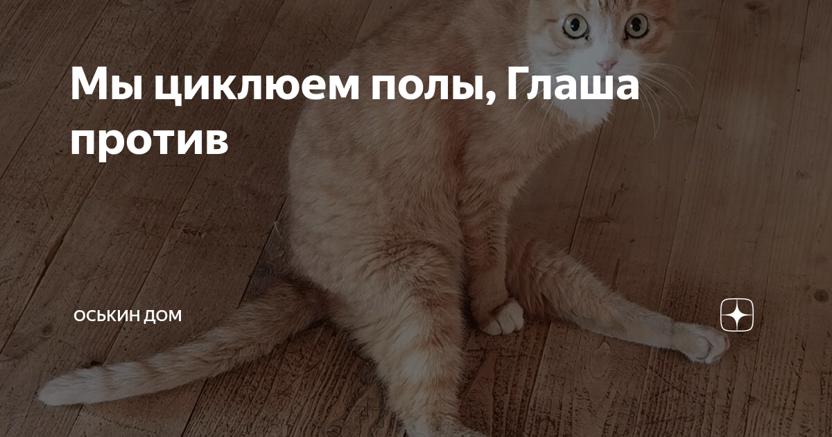 Мы циклюем полы, Глаша против | Оськин дом | Дзен