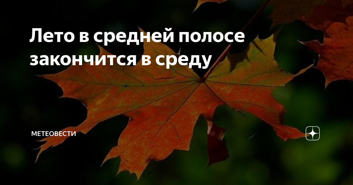 Лето в средней полосе закончится в среду | Метеовести | Дзен