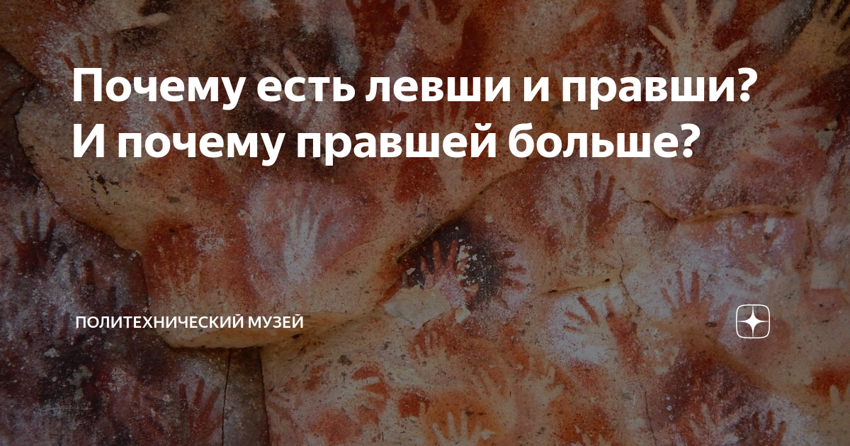 Почему есть левши и правши? И почему правшей больше? | Политехнический ...