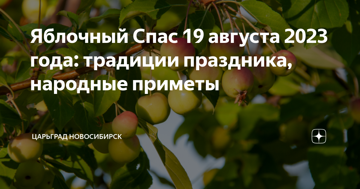 Когда яблочный спас в 2025 году. Яблочный спас приметы.