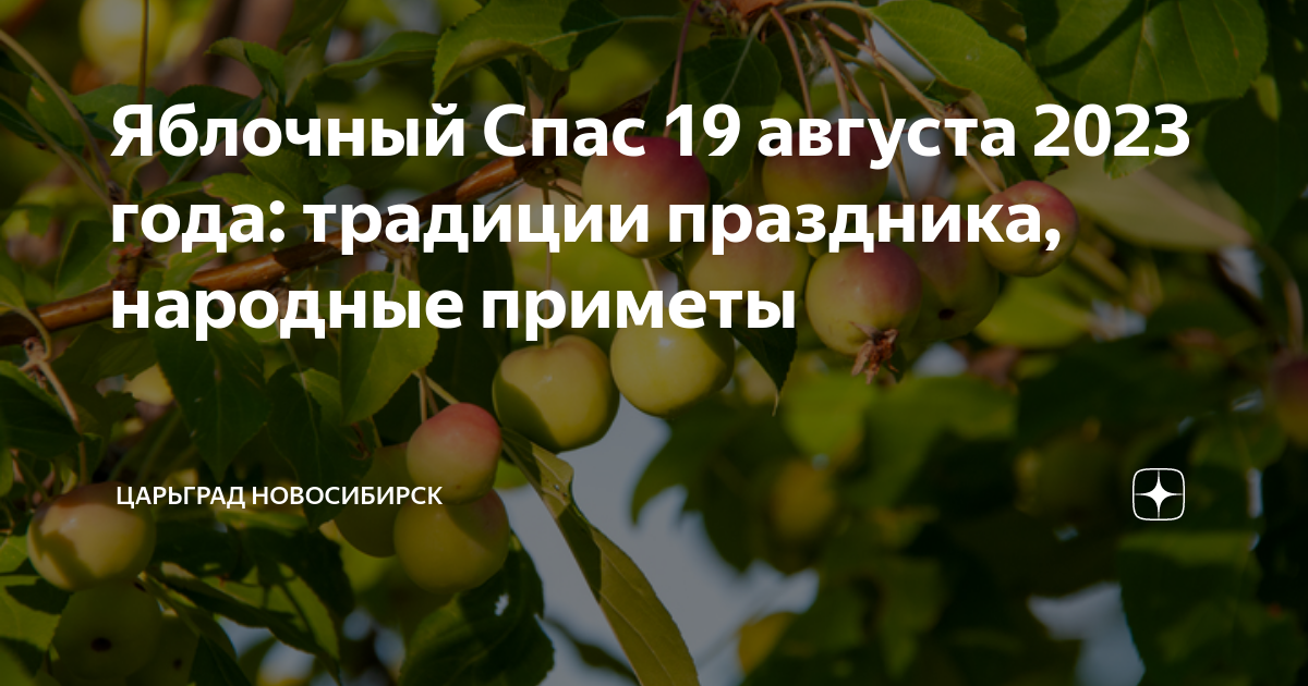 Имя 19 августа. Сорт груши для Сибири самый зимостойкий и вкусный. Садоводам Сибири Байкалов книга.