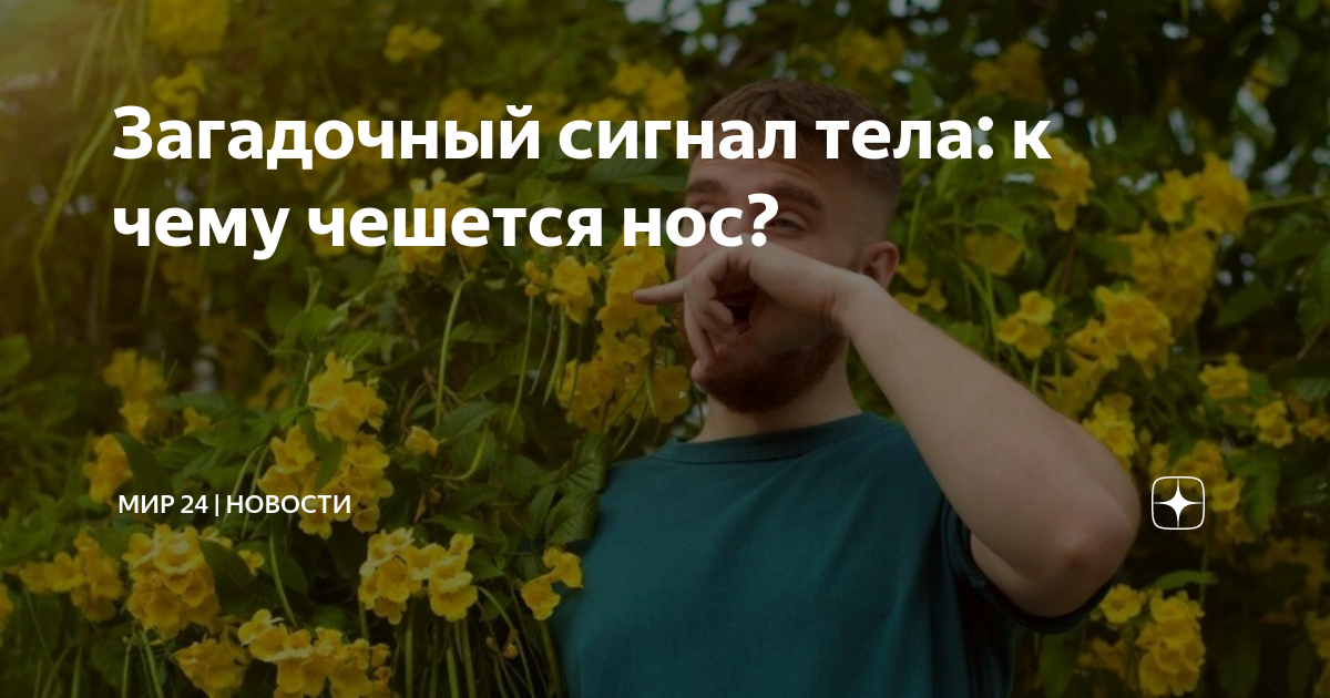 Постоянно чешется нос причина. Почему чешется переносица. К чему чешется нос. Постоянно чешется нос причина. Постоянно чешется нос причина.