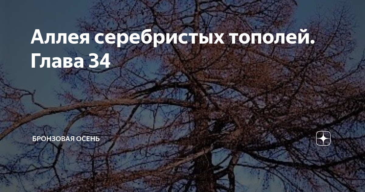 Аллея серебристых тополей. Глава 34 | Бронзовая осень | Дзен