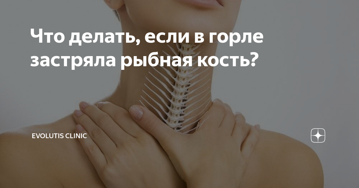 что делать если у кошки что то застряло в горле