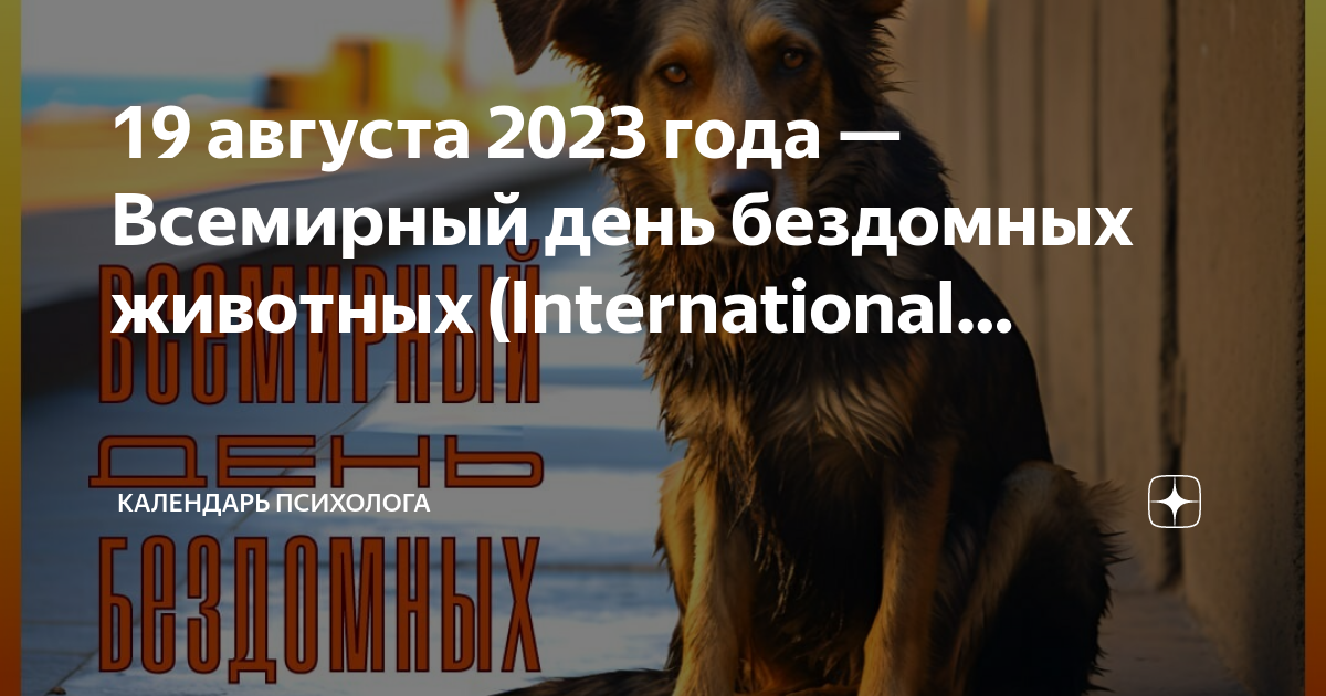 17 августа всемирный день бездомных животных. 19 Августа - Международный день бездомных животных