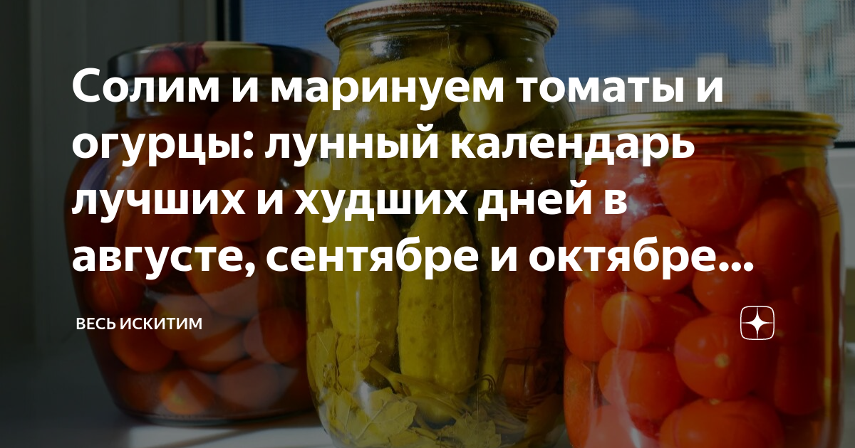 Календарь консервирования на август. Консервирование технология 6 класс. Огурец с сахаром. Рецепт американских огурчиков маринованных