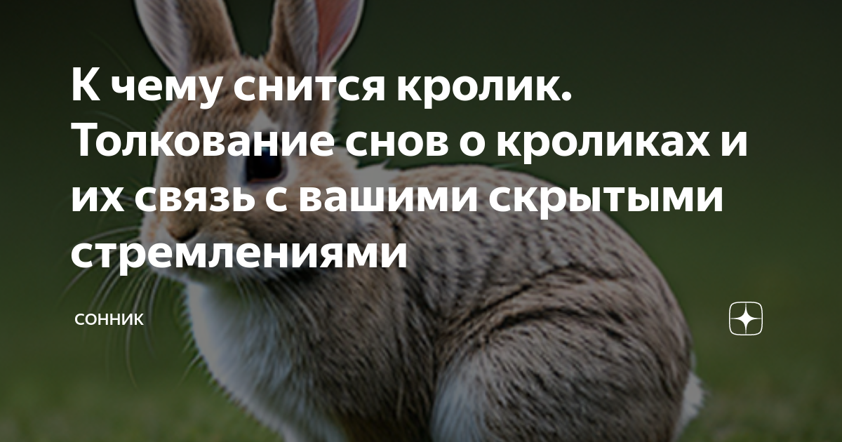 К чему снятся кролики женщине. Приснились кролики живые к чему. К чему снятся кролики. Крольчата во сне. Приснились кролики живые к чему.