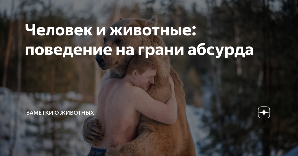 можно судить о характере человека по его отношению к животным