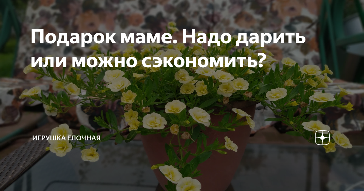 Подарок родителям: идеи подарков для родителей — Ozon Клуб