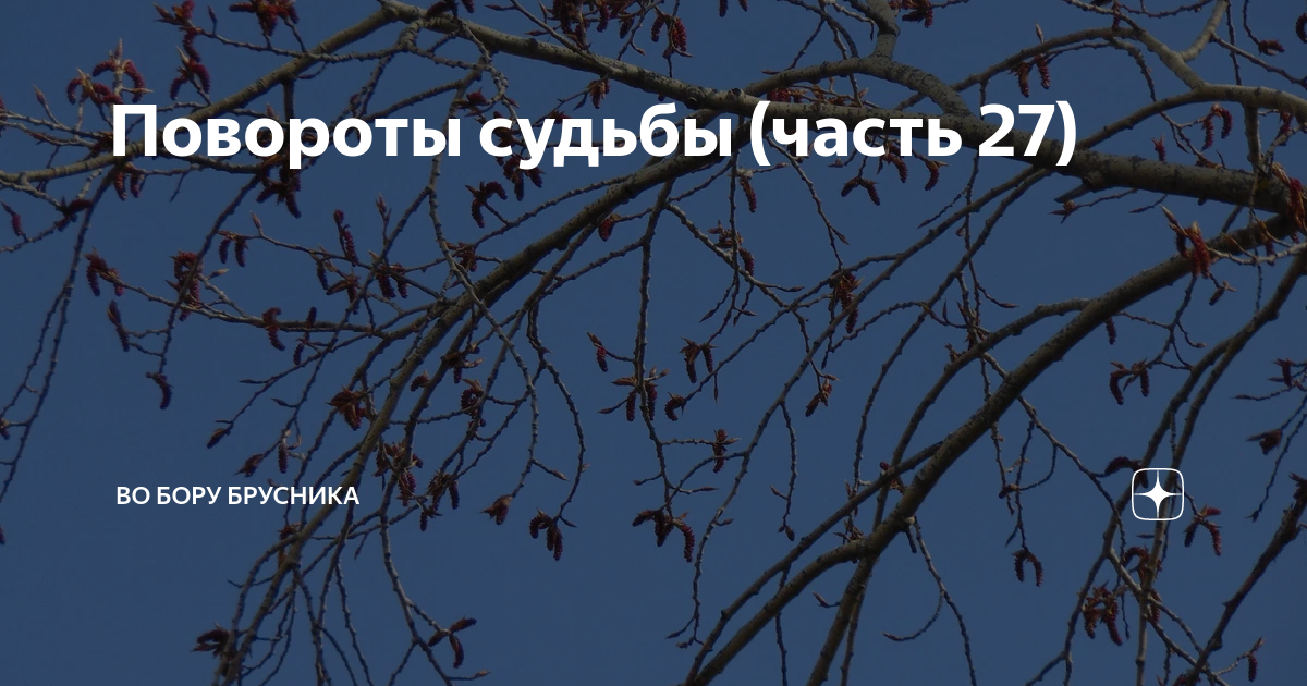 Во Бору брусника дзен рассказы читать. Во Бору брусника ты только позови ч 11. Ты только позови во Бору брусника часть 15..