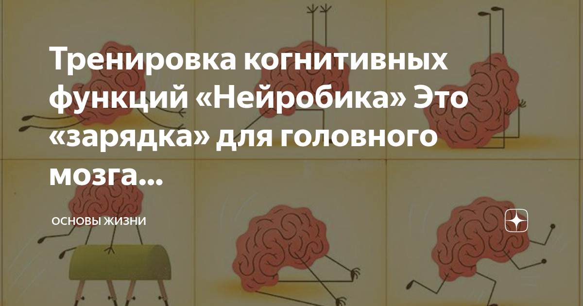 Тренировка когнитивных функций. Тренировка когнитивных функций