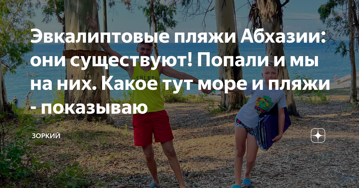 Эвкалиптовые пляжи Абхазии: они существуют! Попали и мы на них. Какое ...