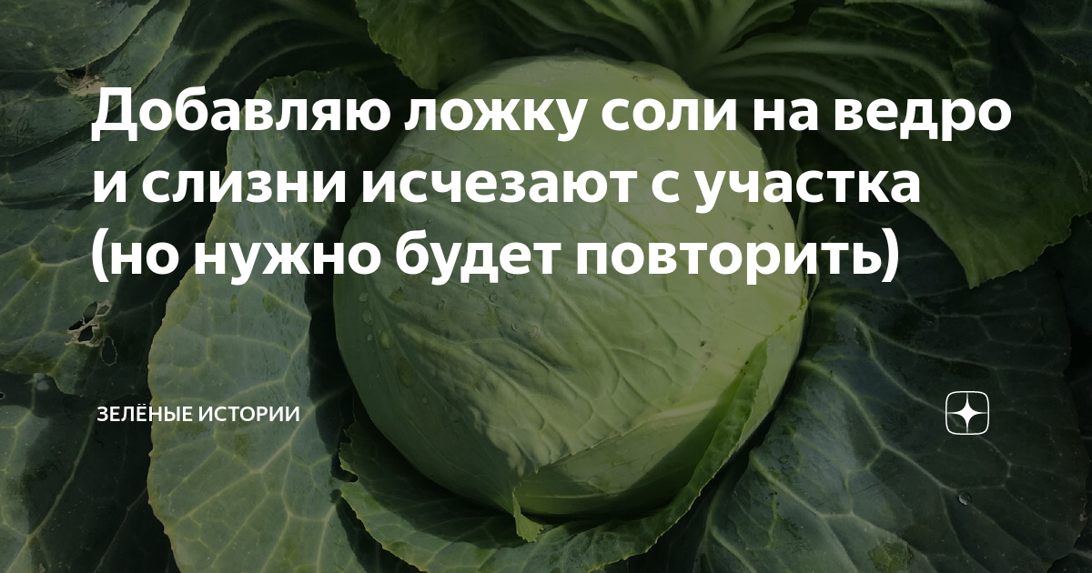 что значит лить как из ведра