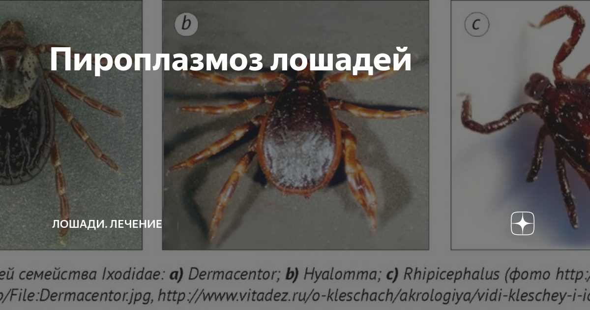 Уровень гемоглобина снижается