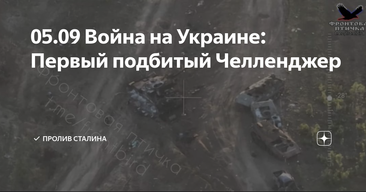 Пролив сталина дзен последнее видео