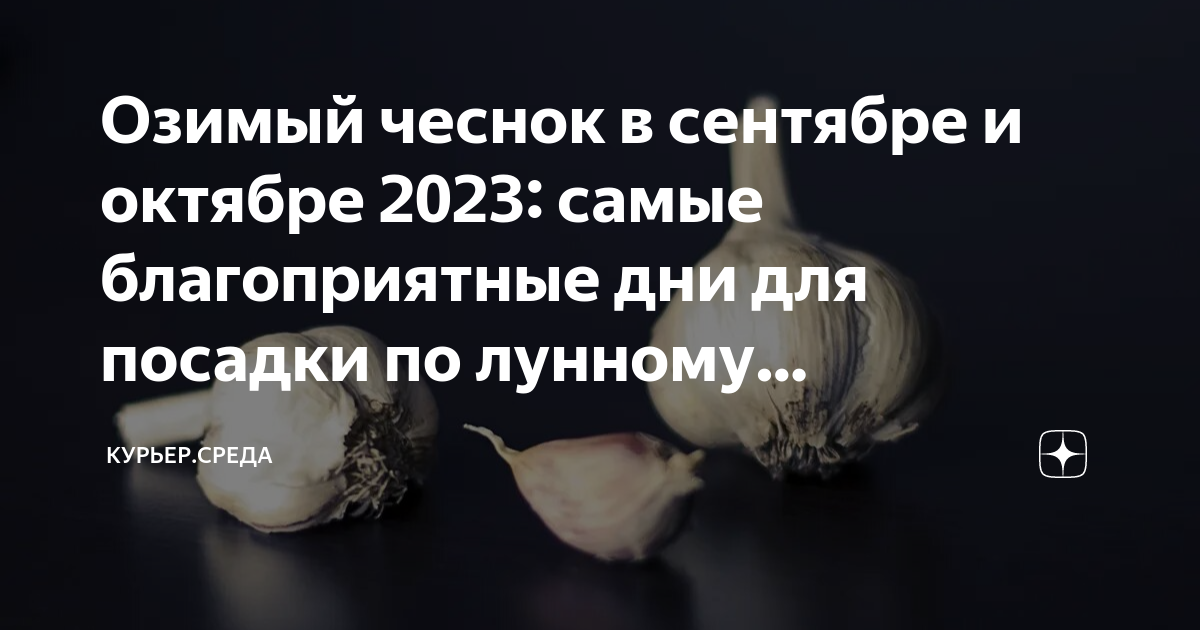 Лунный календарь озимый чеснок