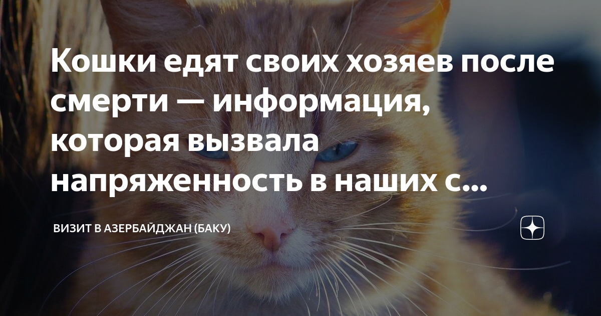 Знаю, что после смерти хозяина, кошка начинает его поедать. А с какой части тела она начнет?