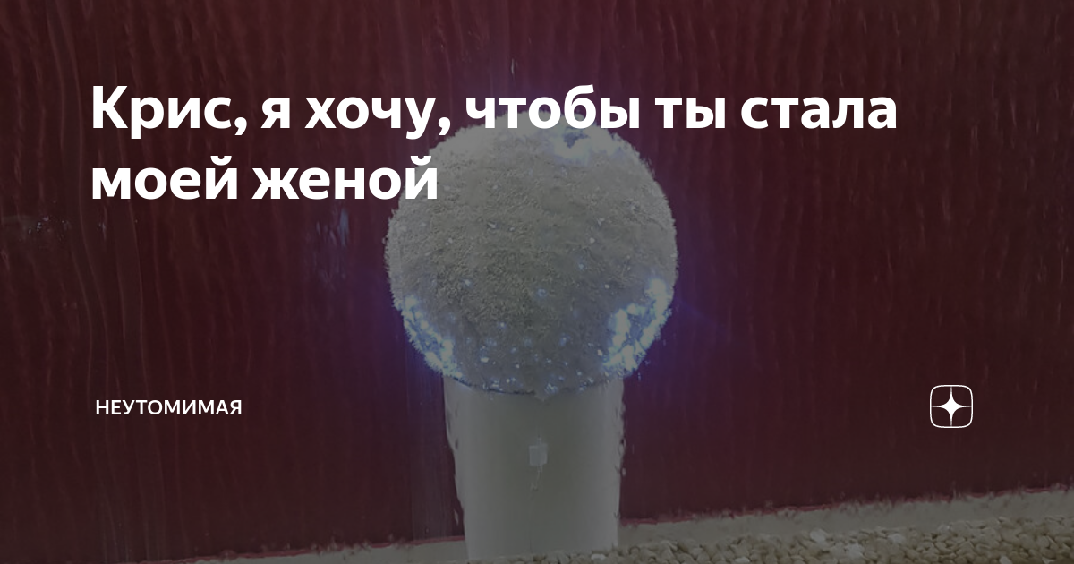 Крис, я хочу, чтобы ты стала моей женой | Неутомимая | Дзен