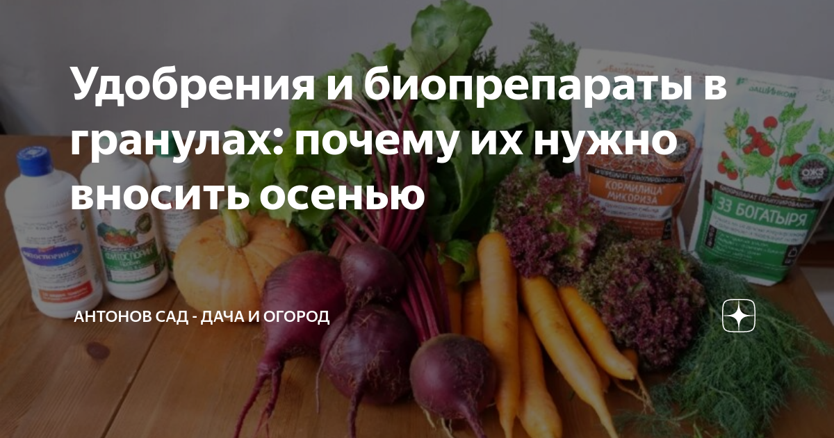 Удобрения и биопрепараты в гранулах: почему их нужно вносить осенью ...