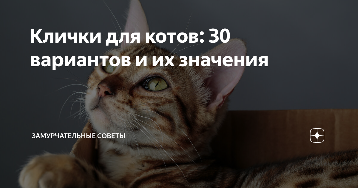 ТОП-30 самых красивых лошадей в мире