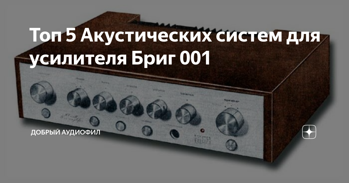 Топ 5 Акустических систем для усилителя Бриг 001 | Добрый Аудиофил | Дзен