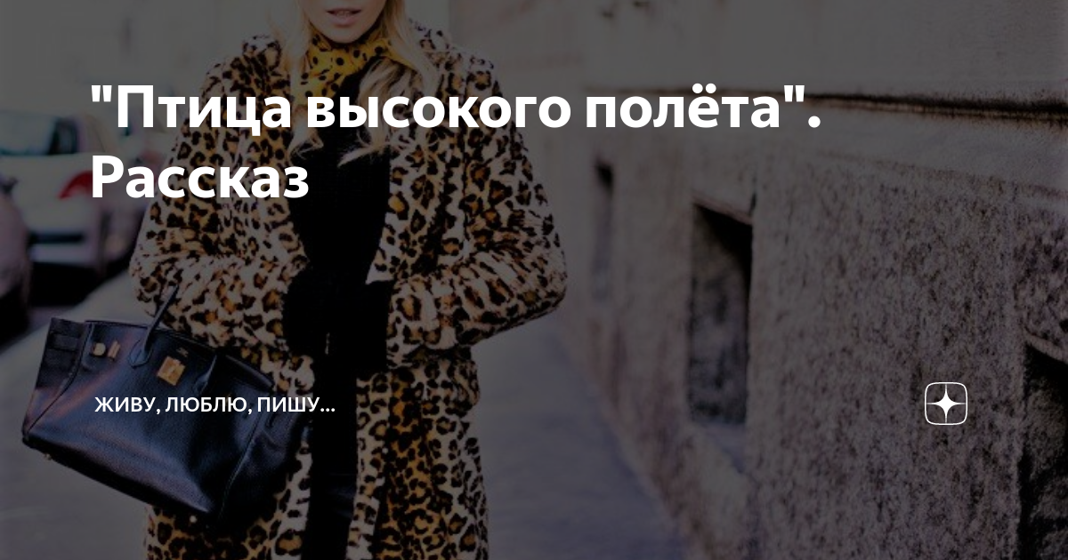 "Птица высокого полёта". Рассказ | Живу, люблю, пишу... | Дзен