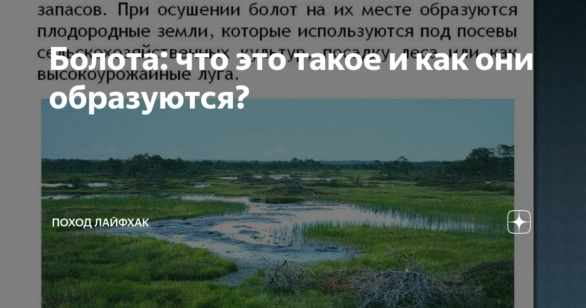 Люди на болоте кратко по главам. Как образуются болота. Почему образуются болота. Как появляются болота. Почему образуется болото.