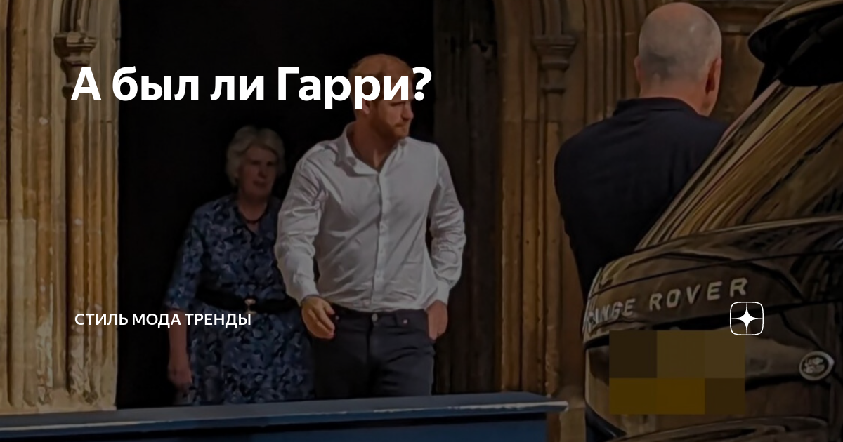 А был ли Гарри? | СТИЛЬ МОДА ТРЕНДЫ | Дзен
