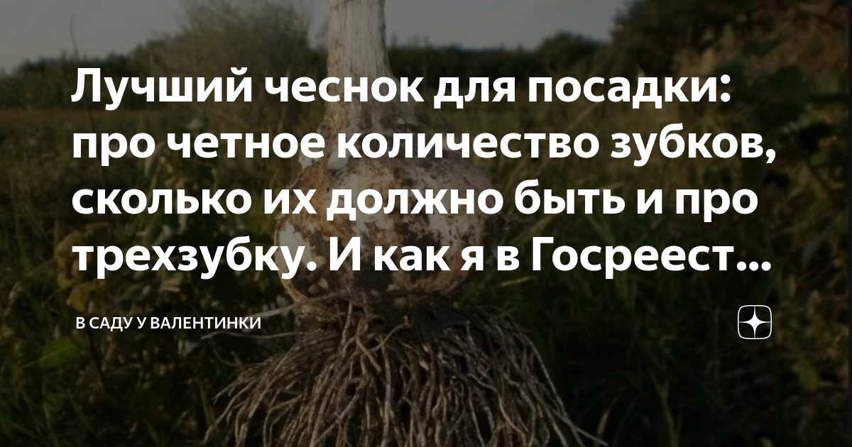 зубчики чеснока в ноздри