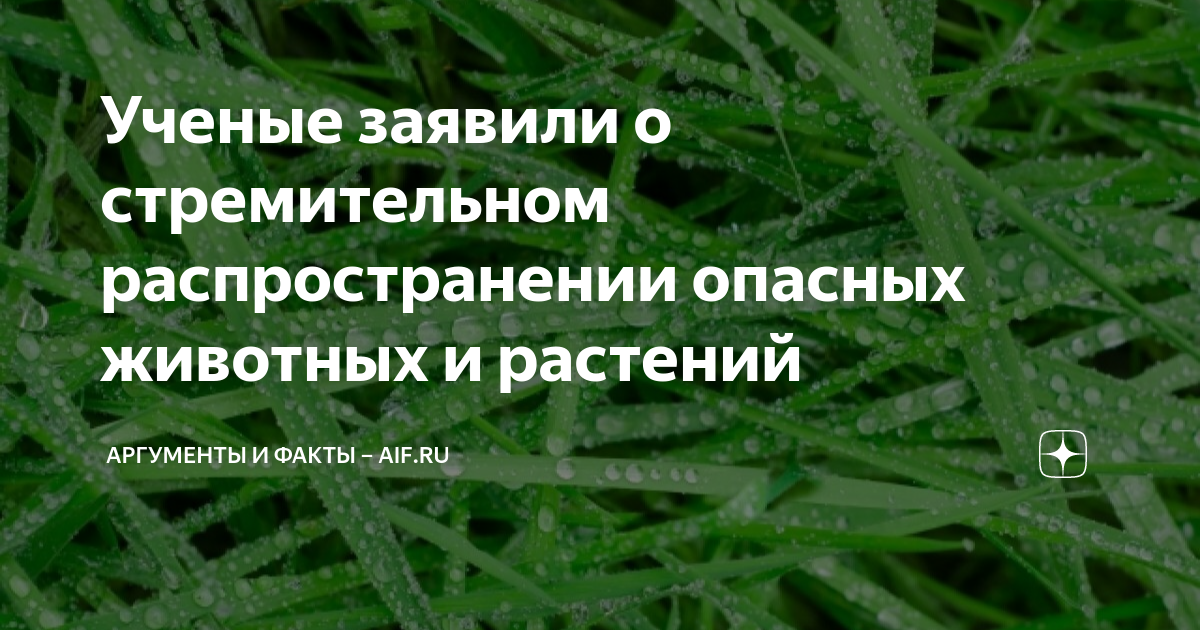 Ученые заявили о стремительном распространении опасных животных и ...