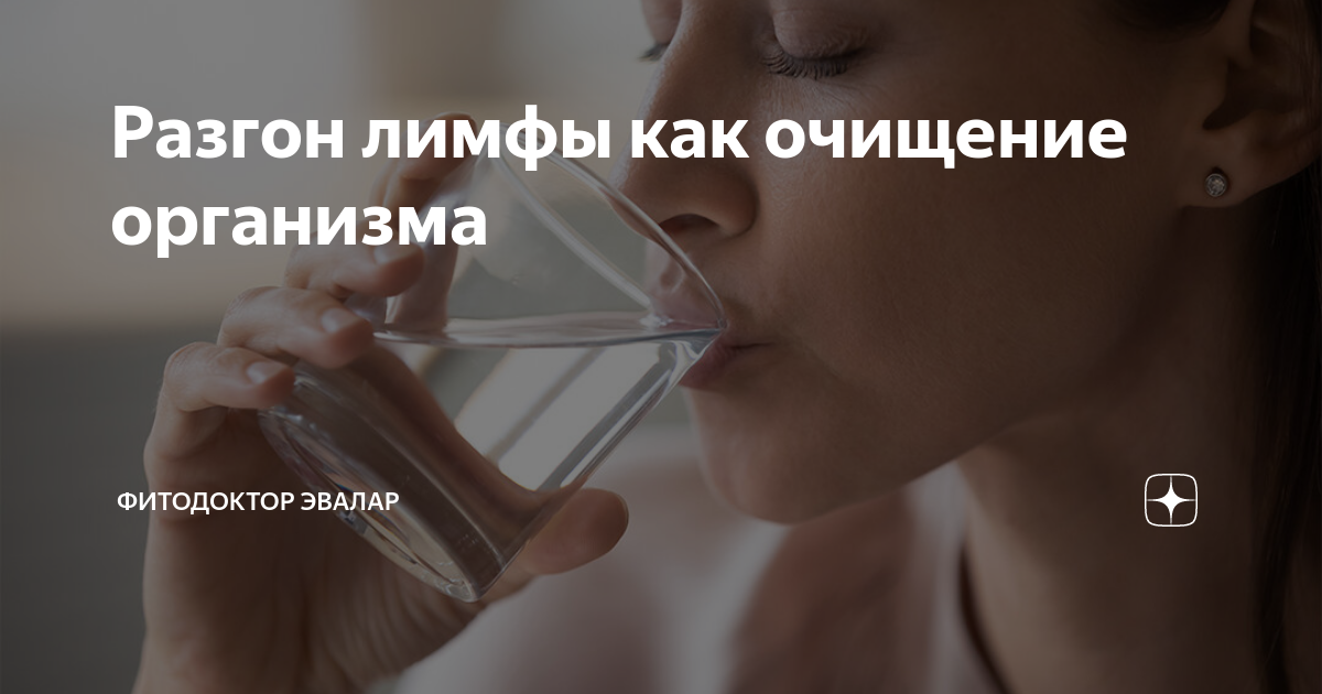 Разгон лимфы как очищение организма | ФИТОДОКТОР ЭВАЛАР | Дзен