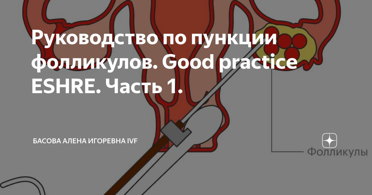  good practice eshre 1