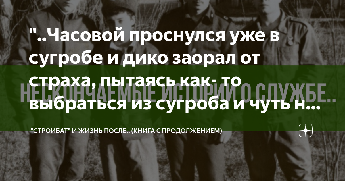 "..Часовой проснулся уже в сугробе и дико заорал от страха, пытаясь как ...