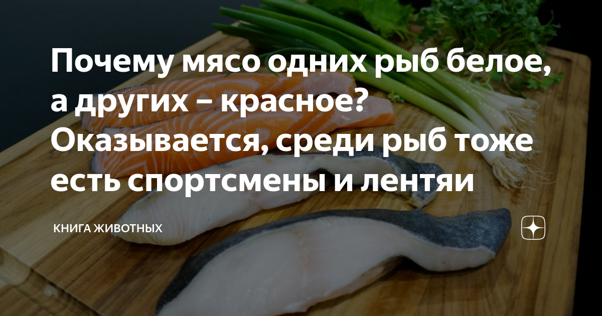 Почему мясо одних рыб белое, а других – красное? Оказывается, среди рыб ...
