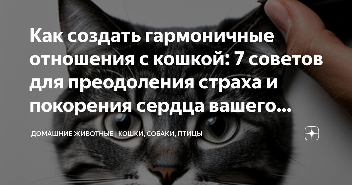 Нарисовать пару любви кошек и слово, которое я люблю тебя на розовом