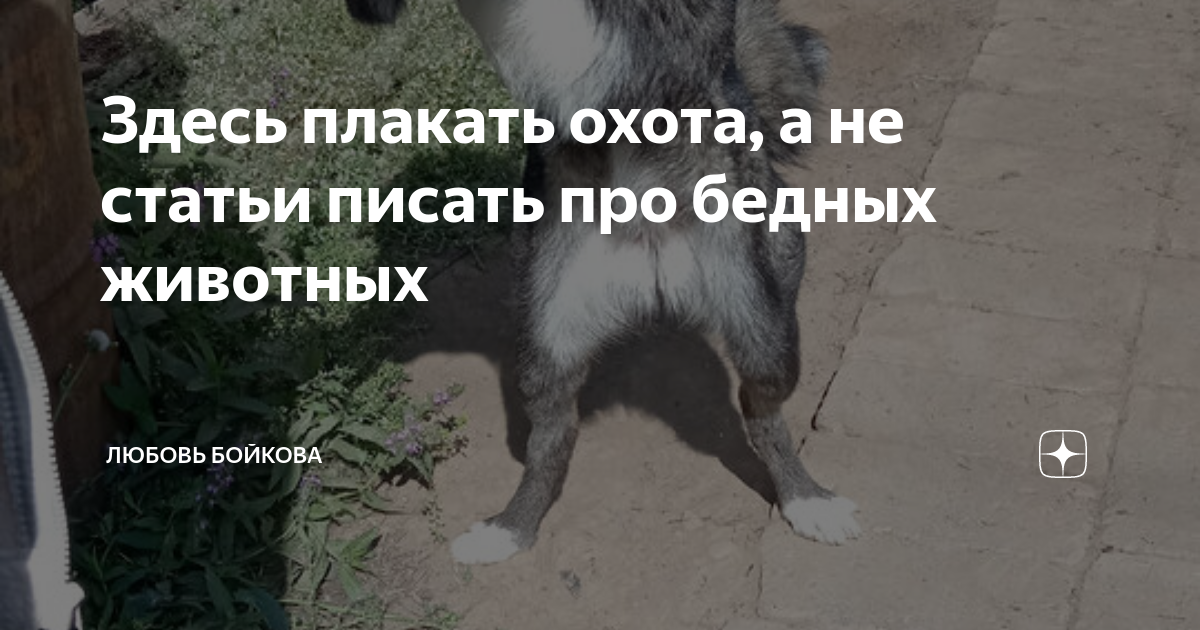 Песня тут кричит. Шумнее и шумнее раздавались по улицам песни и крики. Приколы про кладбище. Кот на кладбище мем. Тихо картинка прикольная.