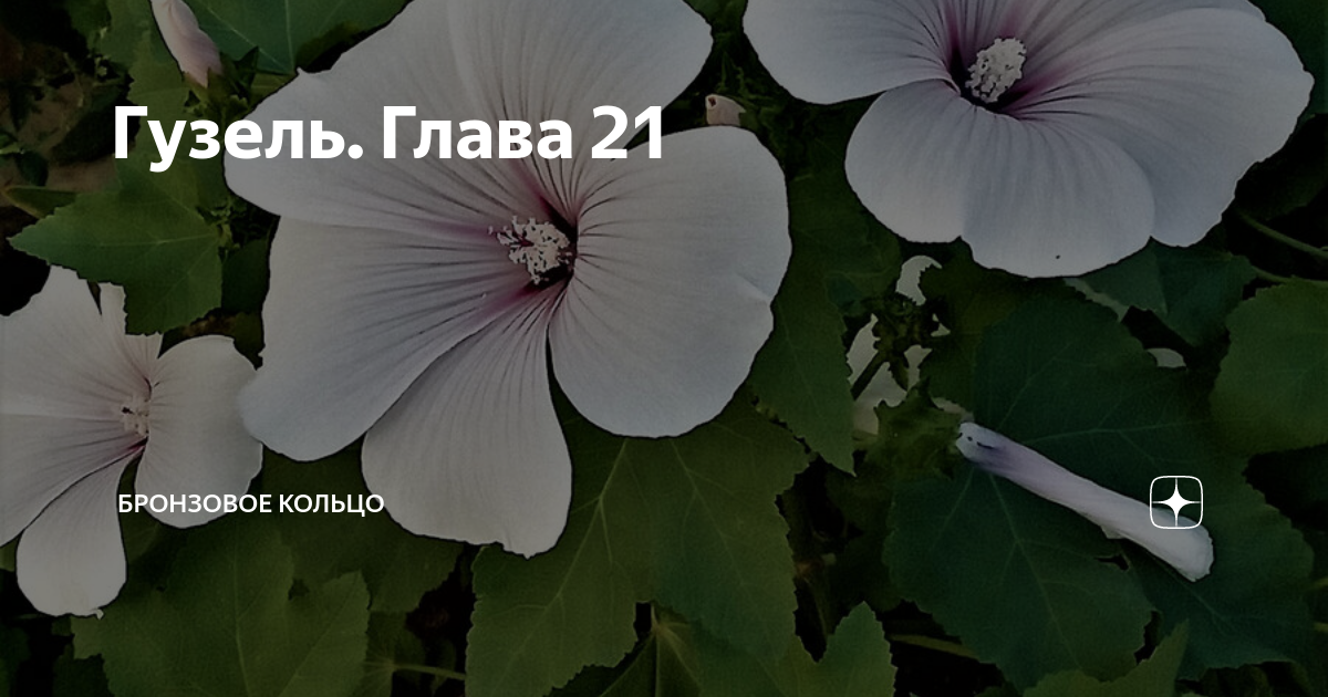Гузель. Глава 21 | Бронзовое кольцо | Дзен